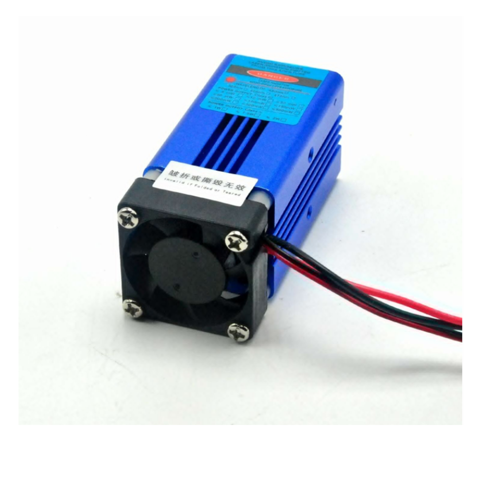 Industrial 405nm 100mw 300mw 4 - Industrial Laser Printing recension och pris